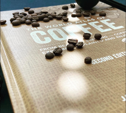Exploring where beans are born: Single Origin vs. Blended Coffe